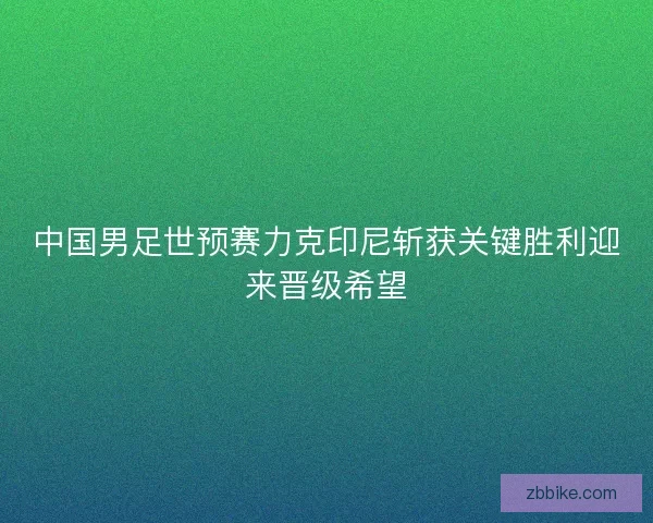 中国男足世预赛力克印尼斩获关键胜利迎来晋级希望