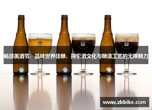 畅游美酒节，品味世界佳酿，探索酒文化与酿造工艺的无限魅力