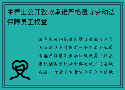 中青宝公开致歉承诺严格遵守劳动法保障员工权益